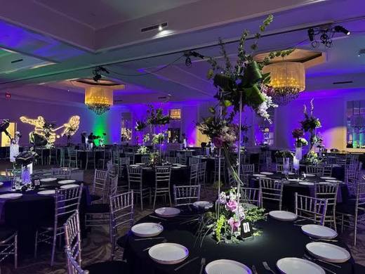 Hockey Meets Elegance: Hockey, with diamonds, purple and green. Bat Mitzvah at Le Méridien Charlotte, planned by Razzle Dazzle Event Planning, Charlotte NC. Photo 2 of 10.