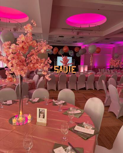 Simply Sadie: Sweetest, smartest, most spectacular. Bat Mitzvah at Temple Beth El, Charlotte, planned by Razzle Dazzle Event Planning, Charlotte NC. Photo 2 of 10.