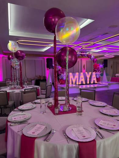 A Second Mitzvah, Even Happier, Bat Mitzvah at Renaissance Charlotte SouthPark