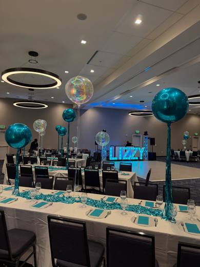 Lizzy's Bat Mitzvah, Bat Mitzvah at Marriott Waverly, Charlotte